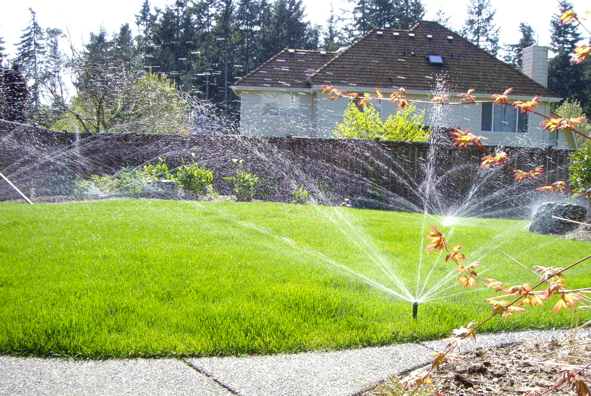 sprinkler-grass-yard-vibrant